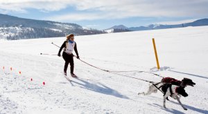 Skijoring: la nueva moda de esquiar con perros