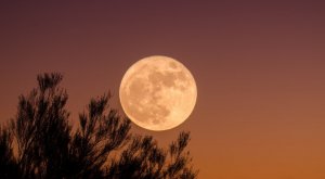 Así se ha visto la Superluna de sangre y luna azul este 31 de enero