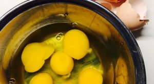 Claras de huevo para producir energía limpia