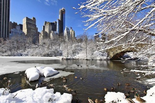 pronostico del tiempo en new york para noviembre