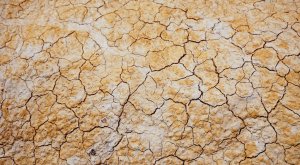 El coronavirus está reduciendo el ruido sísmico