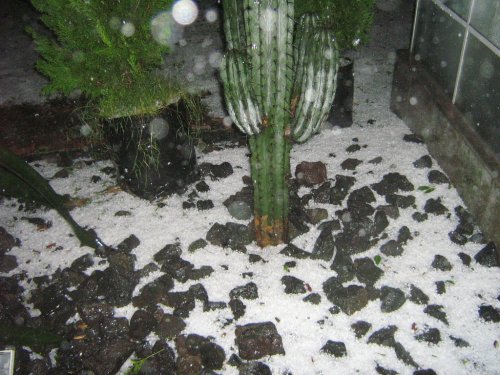 Otra gran granizada en el corredor de granizos. ¿Por qué cae en esta zona de México?