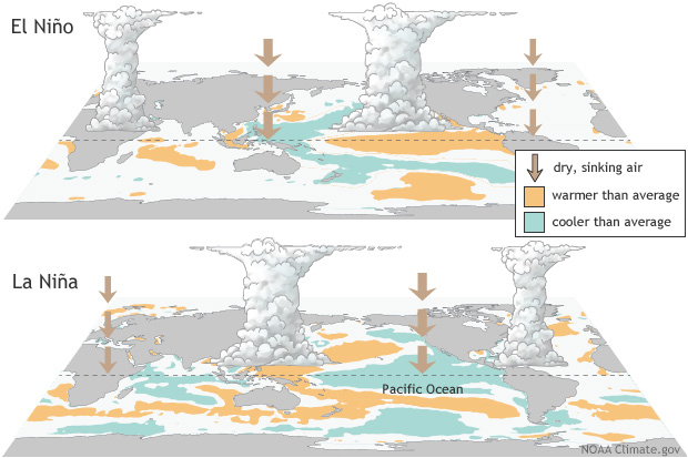 Condiciones de La Niña y El Niño. Gráfica de NOAA