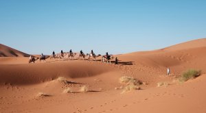 El desierto del Sáhara podría volverse verde