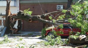 Alerta roja en Chubut: Vientos de 150 km/hora e importantes daños