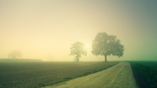 ¿Cuál Es La Diferencia Entre Niebla, Neblina Y Bruma? | Clima.com