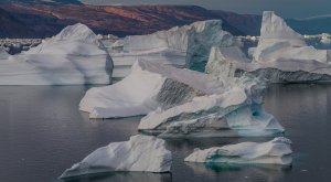 La ONU confirma récord de temperatura en el Ártico: ¡38ºC!