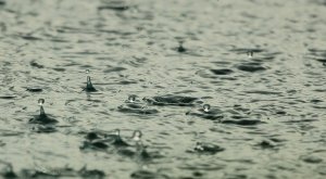 El Niño llegará a Argentina...y así alteraría el clima