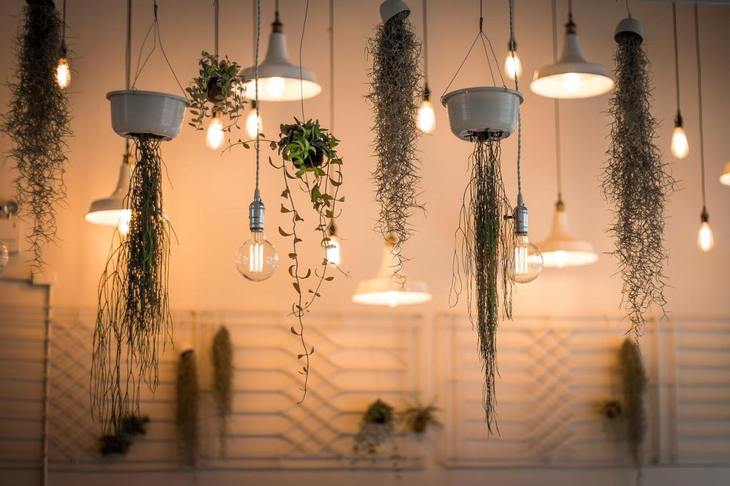 plantas luz artificial