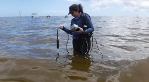Marea roja en México: ¿Qué es y cómo se forma?